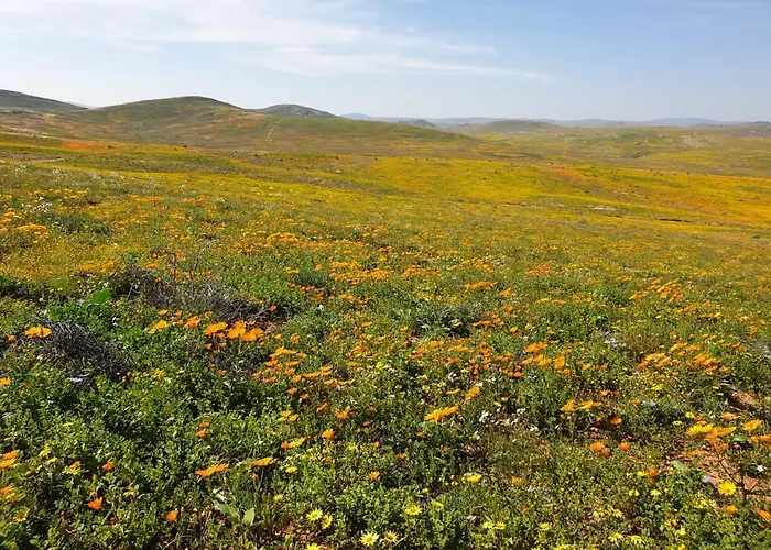 Namaqualand Eco Lodge