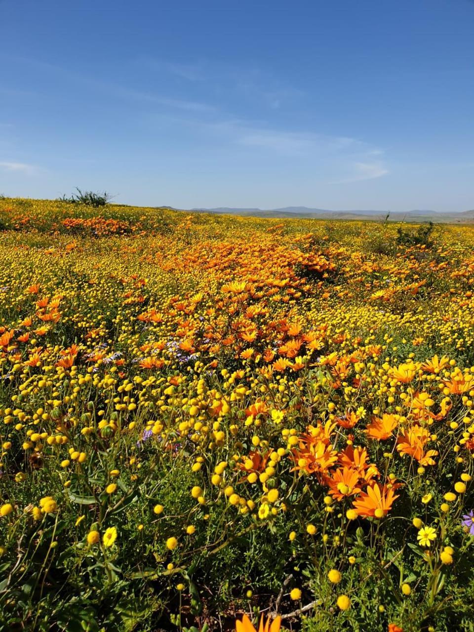 Namaqualand Eco Lodge * Soebatsfontein