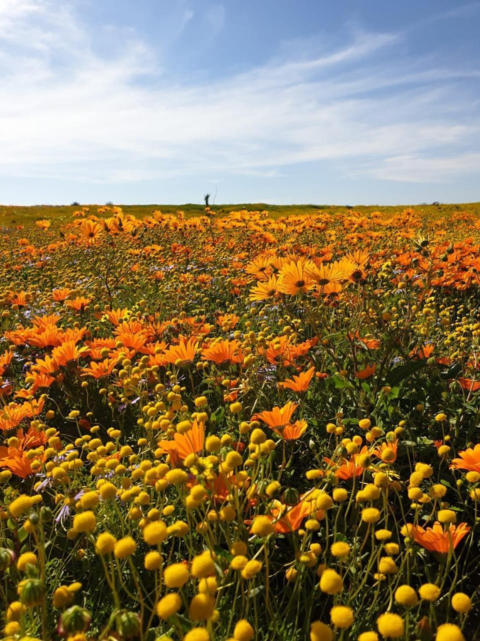 Namaqualand Eco Lodge Soebatsfontein