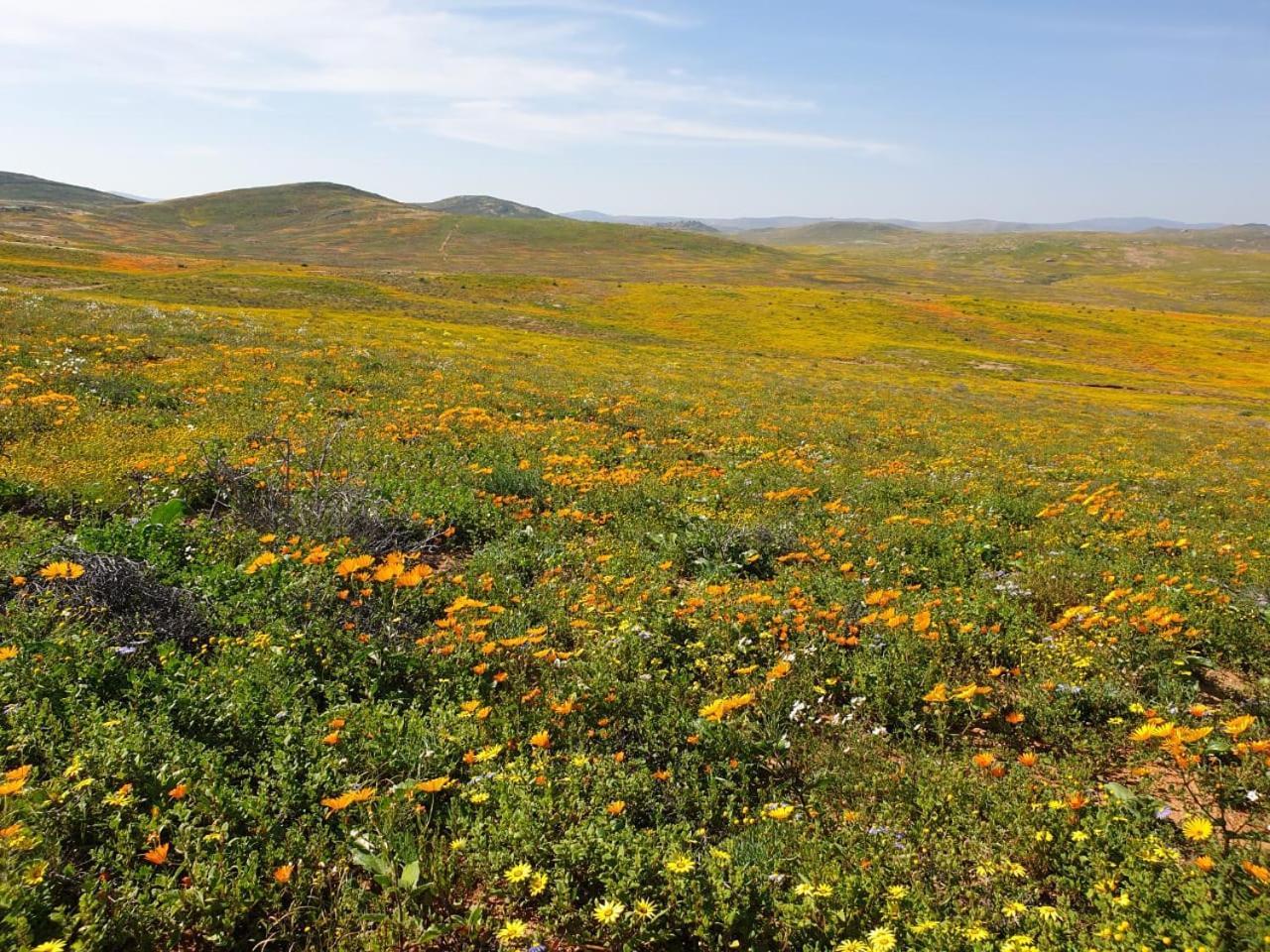 Namaqualand Eco Lodge